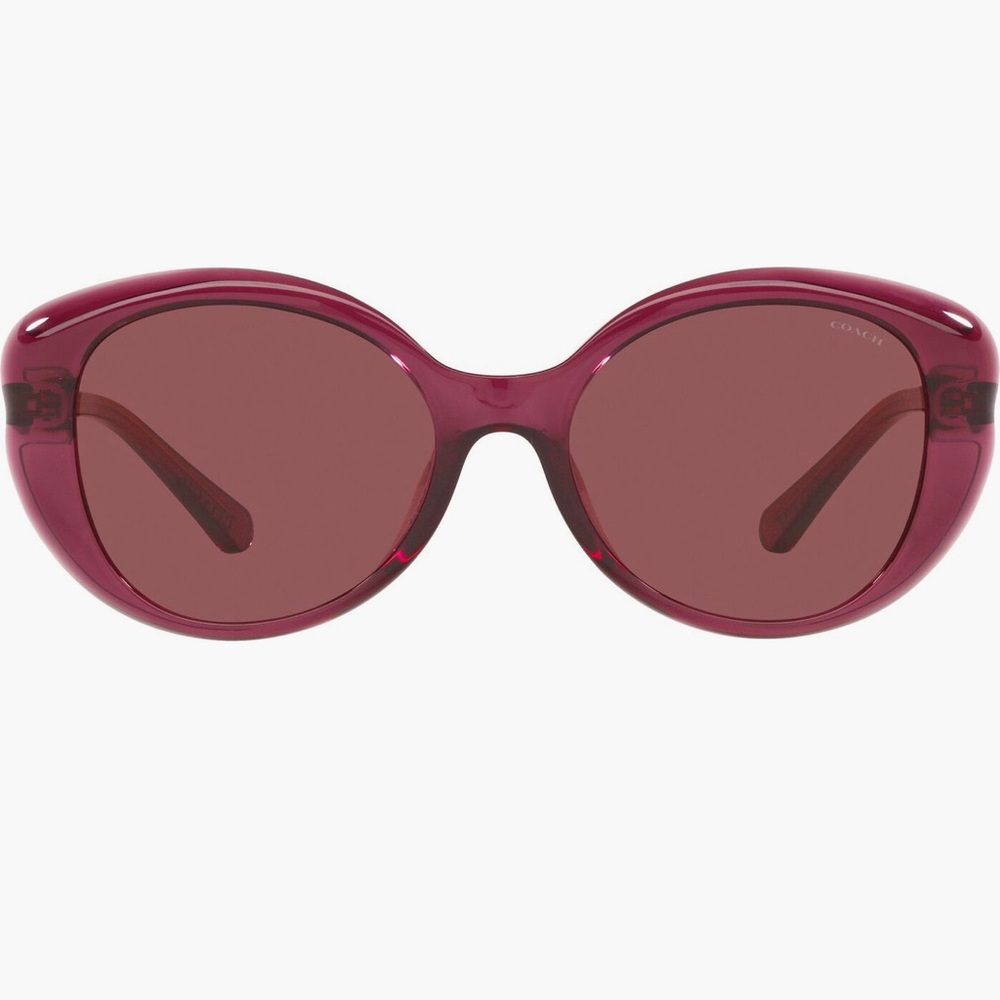 Coach Women's Oversized Round Sunglasses - Pink - Picture 2 of 8